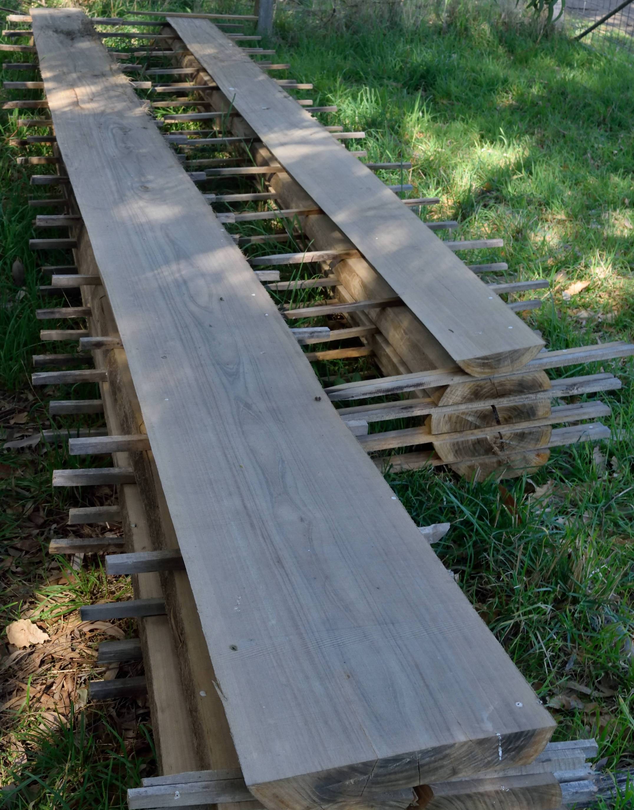 Shining Gum Slab on Stack